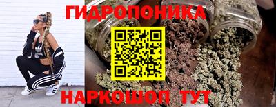 стаф Ливны