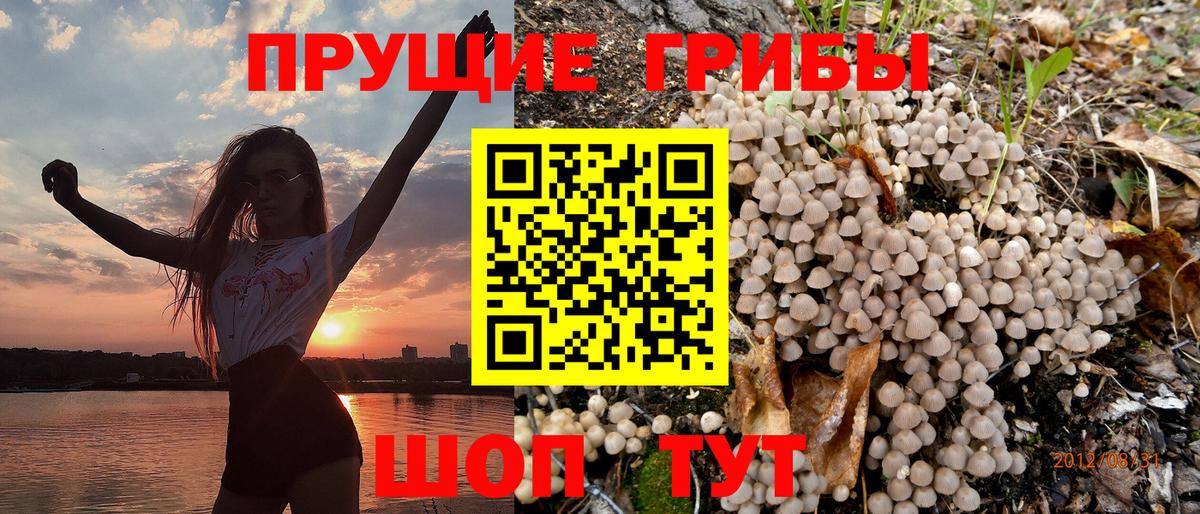 Галлюциногенные грибы MAGIC MUSHROOMS  хочу наркоту  Каменск-Шахтинский  Вход с VPN 