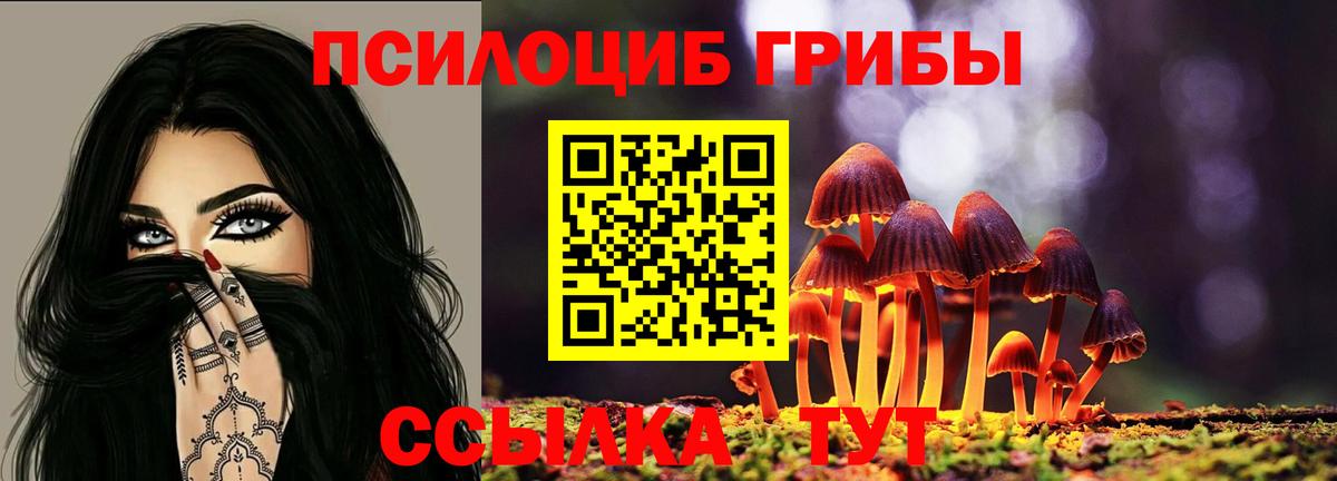 Галлюциногенные грибы GOLDEN TEACHER Каменск-Шахтинский